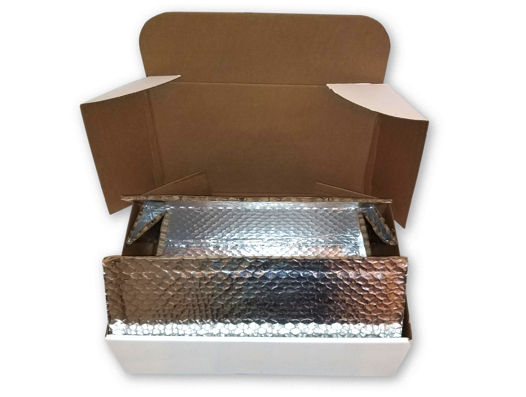 Stamar Packaging insulated shippers